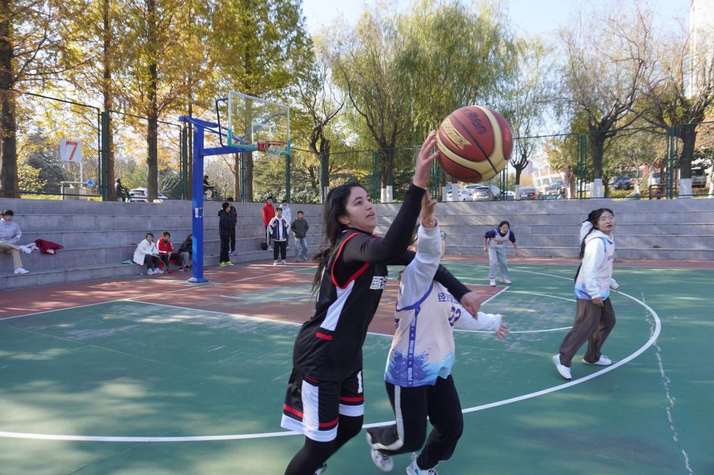 BETVLCTOR伟德官方网站