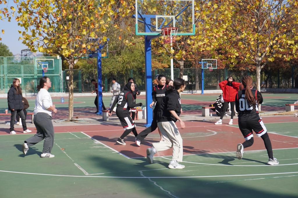 BETVLCTOR伟德官方网站